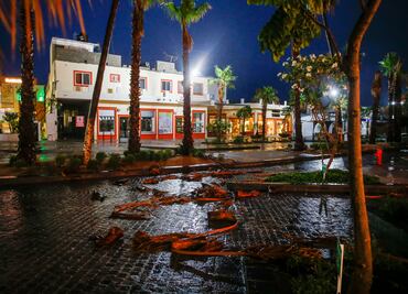 Deja "Bud" a 2 mil en albergues y turistas varados en Los Cabos