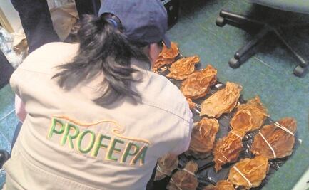 Imco ve riesgo “muy alto” de corrupción en 22 instituciones