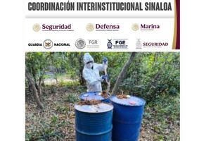 Localizan laboratorios clandestinos en Culiacán, Cosalá y Badiraguato; aseguran 3 mil 500 litros de químicos y artefactos explosivos