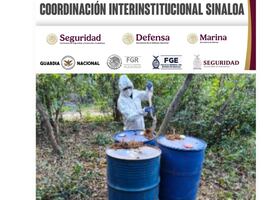 Localizan laboratorios clandestinos en Culiacán, Cosalá y Badiraguato; aseguran 3 mil 500 litros de químicos y artefactos explosivos