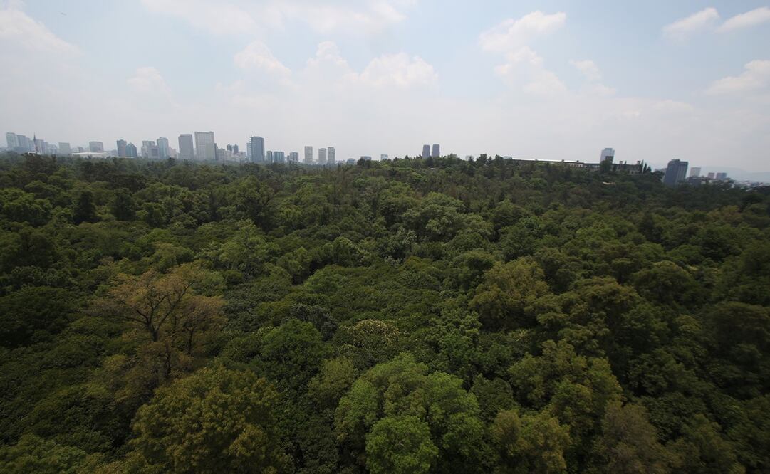 Foto: Archivo/EL UNIVERSAL.