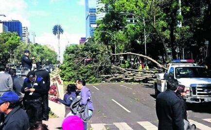 Se trabaja con estados afectados por tormenta invernal: Segob