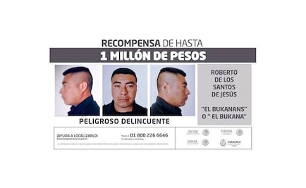 Aumentan recompensa por líder de banda que roba trenes en Veracruz