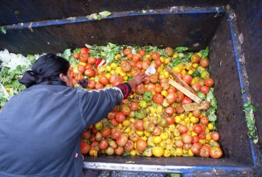 Nueve descubrimientos que cambiaron la ciencia en 2020 