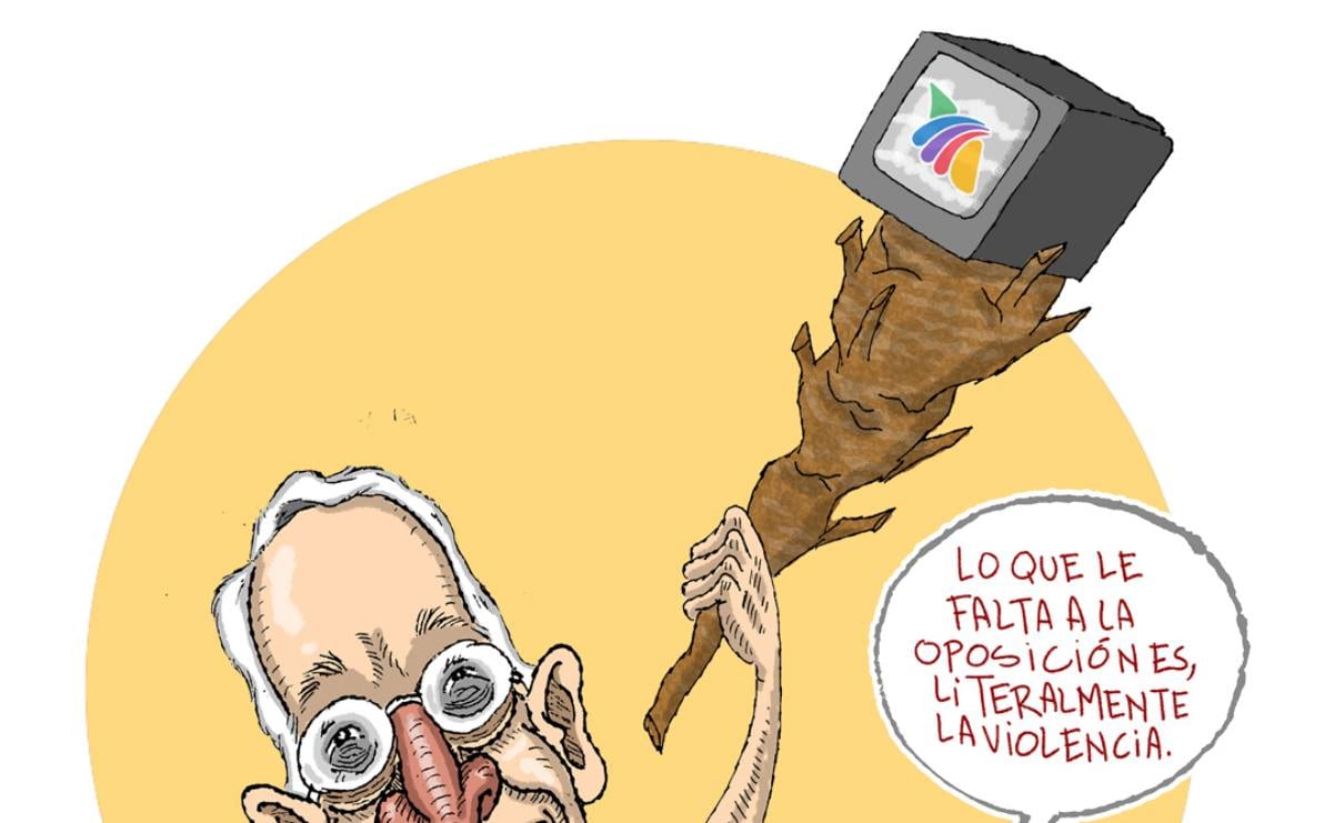 Cartón de FER