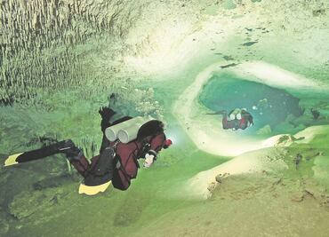 Acuíferos y jaguares en peligro por el Tren Maya