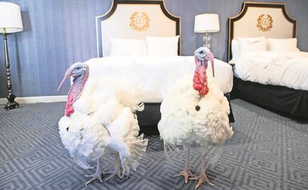 Trump da último indulto a pavo en la Casa Blanca por Día de Acción de Gracias
