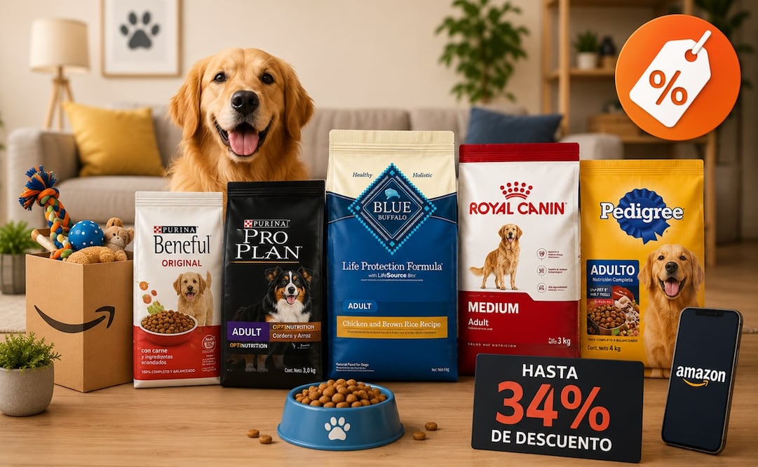 Las mejores ofertas en alimento para perro que trae Amazon México. Foto: IA