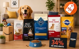 Hot Sale 2026: consiente a tu perro con estas ofertas de Amazon México; alimento premium con hasta 34% de descuento