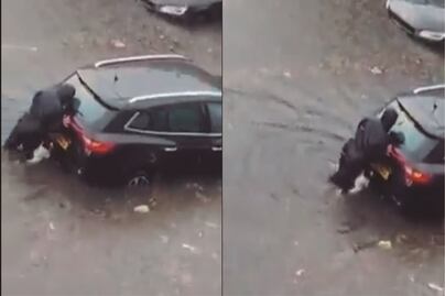 Viral: Lomito ayuda a su dueña a empujar el auto