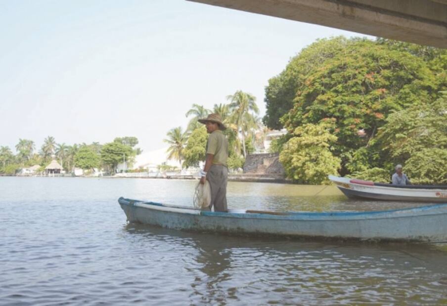 Urbanismo amenaza a manglar de Boca del Río