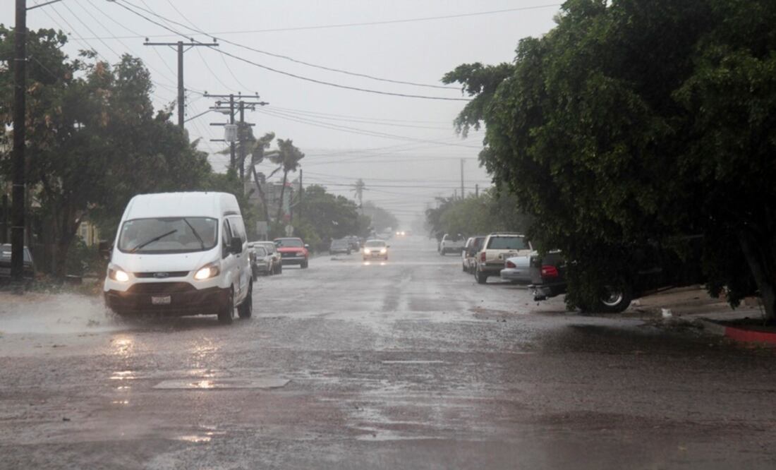 Foto: Archivo/ Cuartoscuro