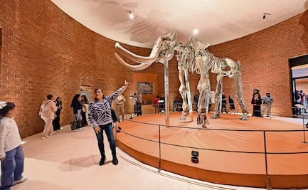 Reinauguran el Museo del Mamut tras cuatro años en restauración