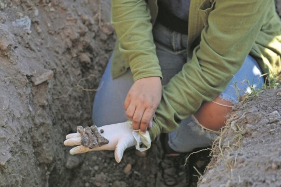 "Exterminio", entre flores y sorgo