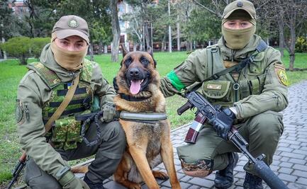 Perro abandonado por tropas rusas encuentra nuevos dueños en Ejército de Ucrania