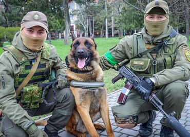 Perro abandonado por tropas rusas encuentra nuevos dueños en Ejército de Ucrania