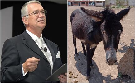Salinas Pliego pide localizar a animales robados en “Burrolandia”; “no los vayan a querer poner de diputados”