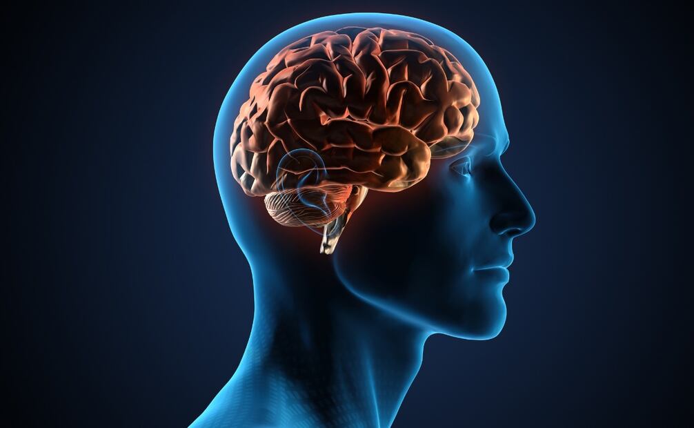 Un trauma cerebral es una lesión ocasionada por una fuerza externa. Foto: Canva