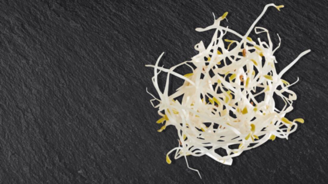 Conoce los 50 alimentos del futuro