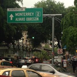 Van 18 árboles caídos por lluvias en DF