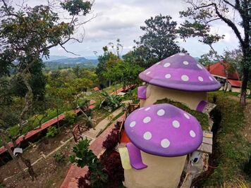 En Xilitla duerme dentro de un hongo como los Pitufos