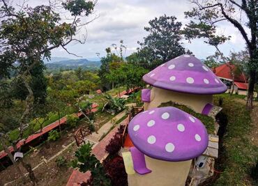 En Xilitla duerme dentro de un hongo como los Pitufos
