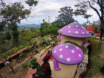 En Xilitla duerme dentro de un hongo como los Pitufos