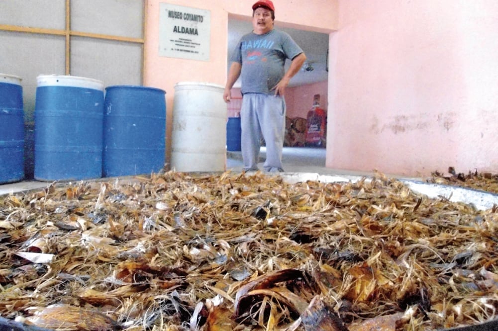 El sotol cuenta con una graduación alcohólica que varía entre los 38 y 45 grados, dependiendo del productor. (LUIS FIERRO. EL UNIVERSAL)