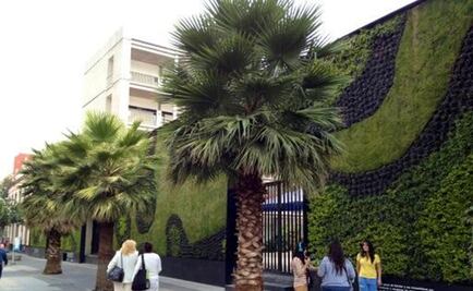 Muros utilizados como jardines