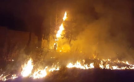 Denuncian incendio en refugio de animales de Edomex; hay más de 300 atrapados