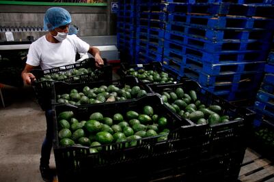 Detienen a 3 hombres por robar 5 millones de pesos en aguacates 