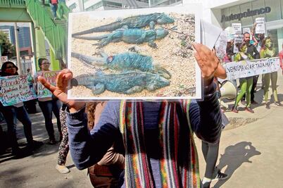 Hoy decide juez si paran obras en Tajamar