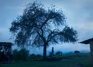 Crítica del documental "El Eco" de Tatiana Huezo
