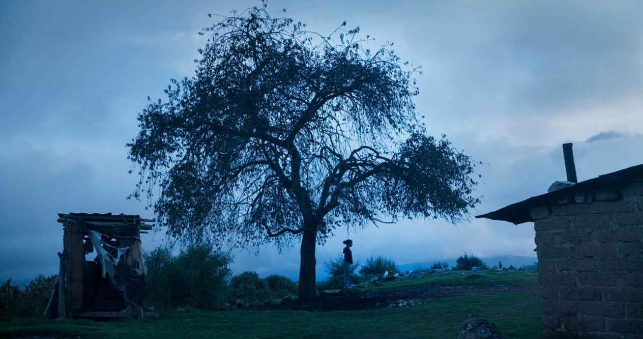 El Eco ganó los premios a Mejor Dirección y Mejor Documental en el Festival Internacional de Cine de Berlín. Foto: Pimienta Films