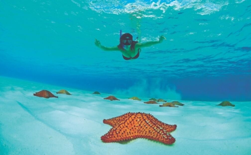 En agosto, regresan los cruceros al Caribe mexicano