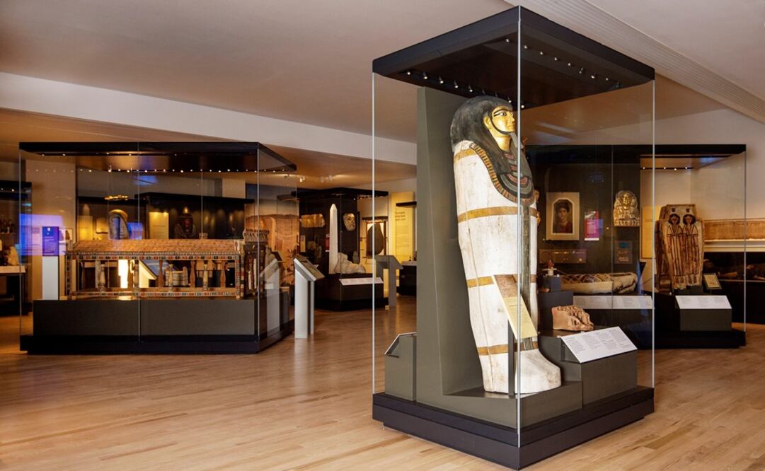 Foto: EFE/Neil Hanna Photography/Museo Nacional de Escocia