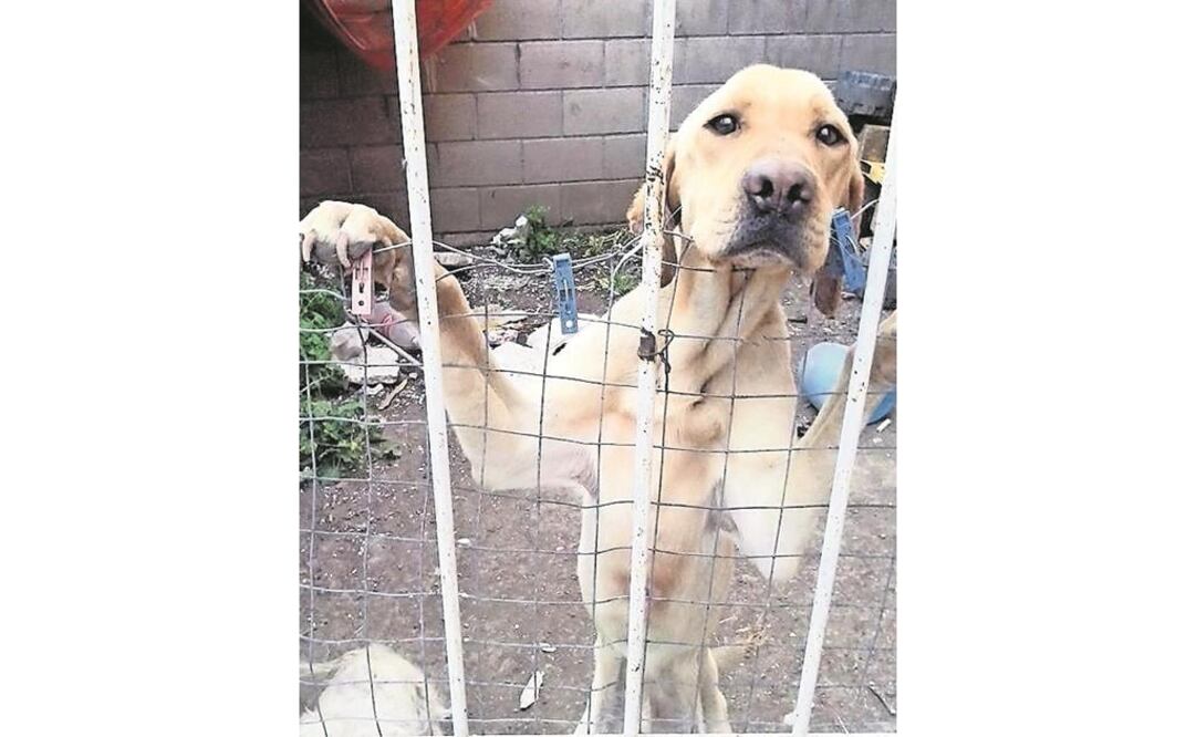 (Foto: Archivo/El Universal)