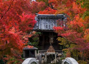 El otoño ya está aquí
