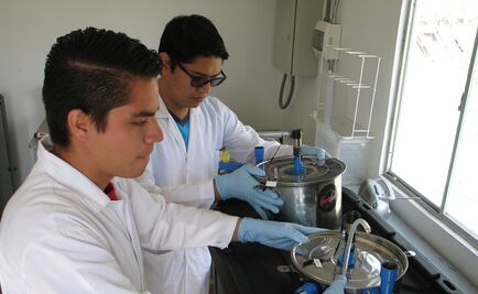 El IPN produce biocombustibles a través del nopal