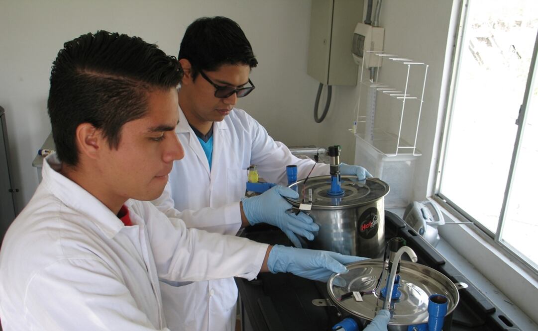 El nopal tiene el  95% de agua y el 5% de materia orgánica. (FOTO: Conacyt) 