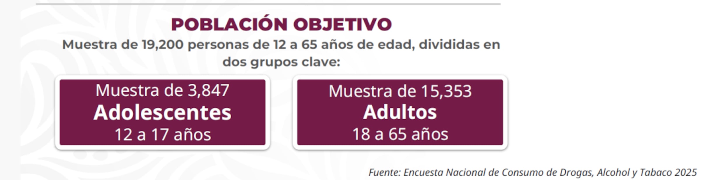 Encuesta Nacional de Consumo de Drogas, Alcohol y Tabaco 2025. Foto: Especial