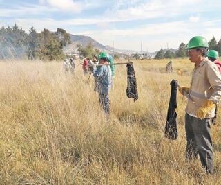 Piden no provocar incendios en áreas reforestadas