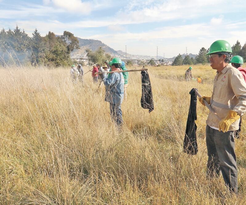 En lo que va de la temporada de secas de 2020, se han dado más de 15 conatos de incendio, según Medio Ambiente. Foto: ARCHIVO EL UNIVERSAL