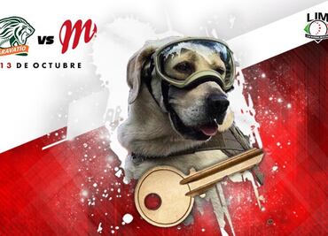 Diablos Rojos harán monumento a perros rescatistas