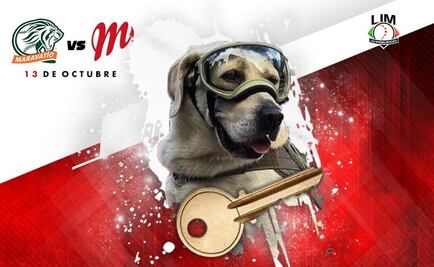 Diablos Rojos harán monumento a perros rescatistas