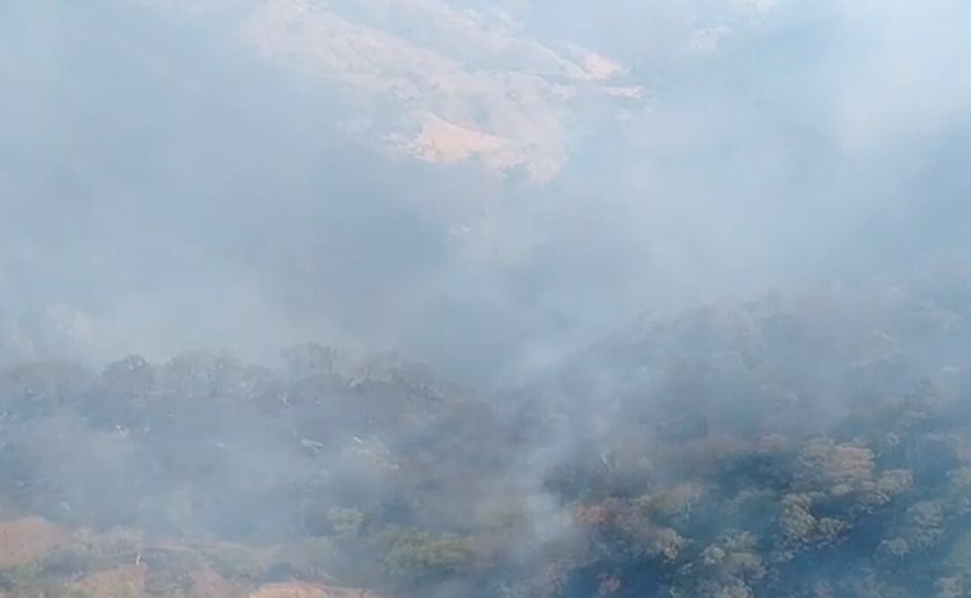 Foto: captura de pantalla