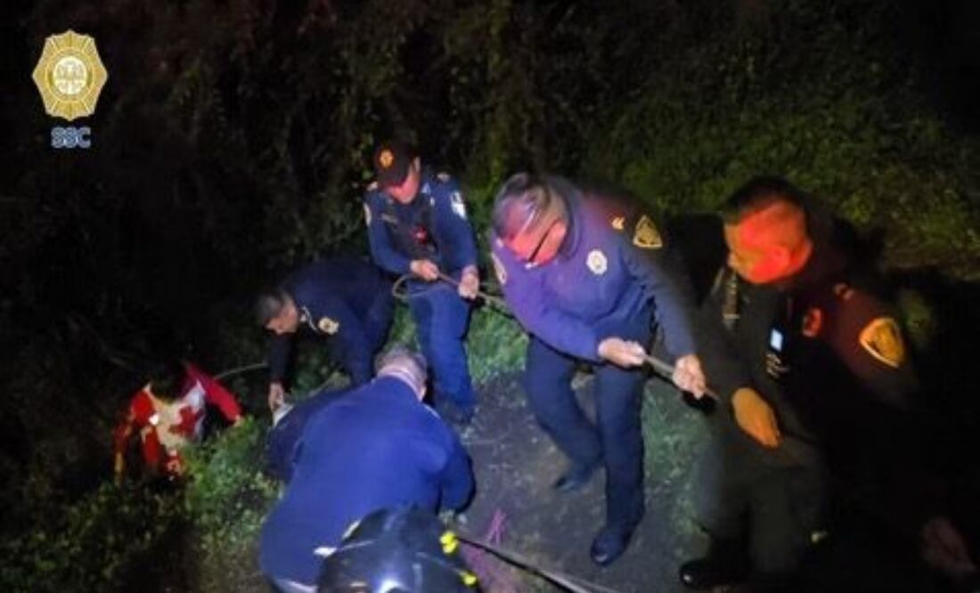 Rescatan a cuatro menores en barranco de Chapultepec; SSC y Bomberos realizaron maniobra a rapel. Foto: Especial