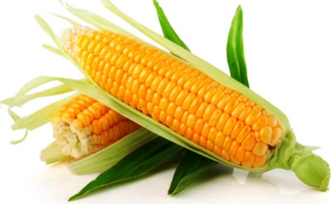 (FOTO: Archivo/EL UNIVERSAL)