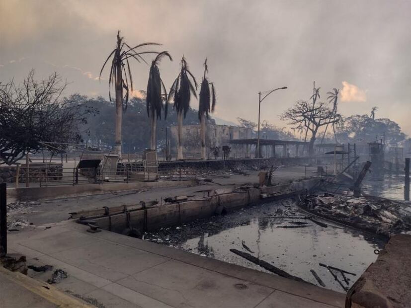 "Es como el Apocalipsis": las impresionantes imágenes de los incendios que han dejado al menos 80 muertos en Hawái