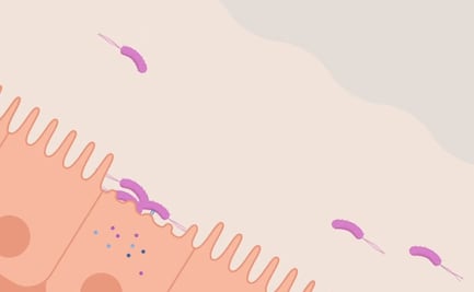 Inteligencia Artificial descifra cómo bacterias "hackean" a las células